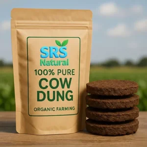 Cow Dung Cakes